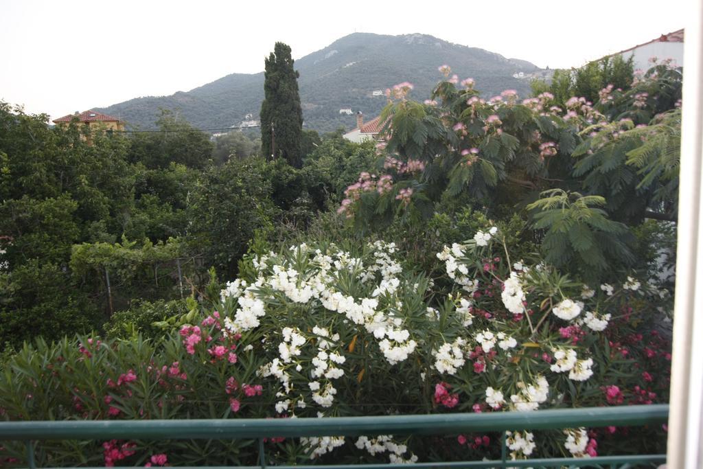 Sappho Studios Mytilene ห้อง รูปภาพ